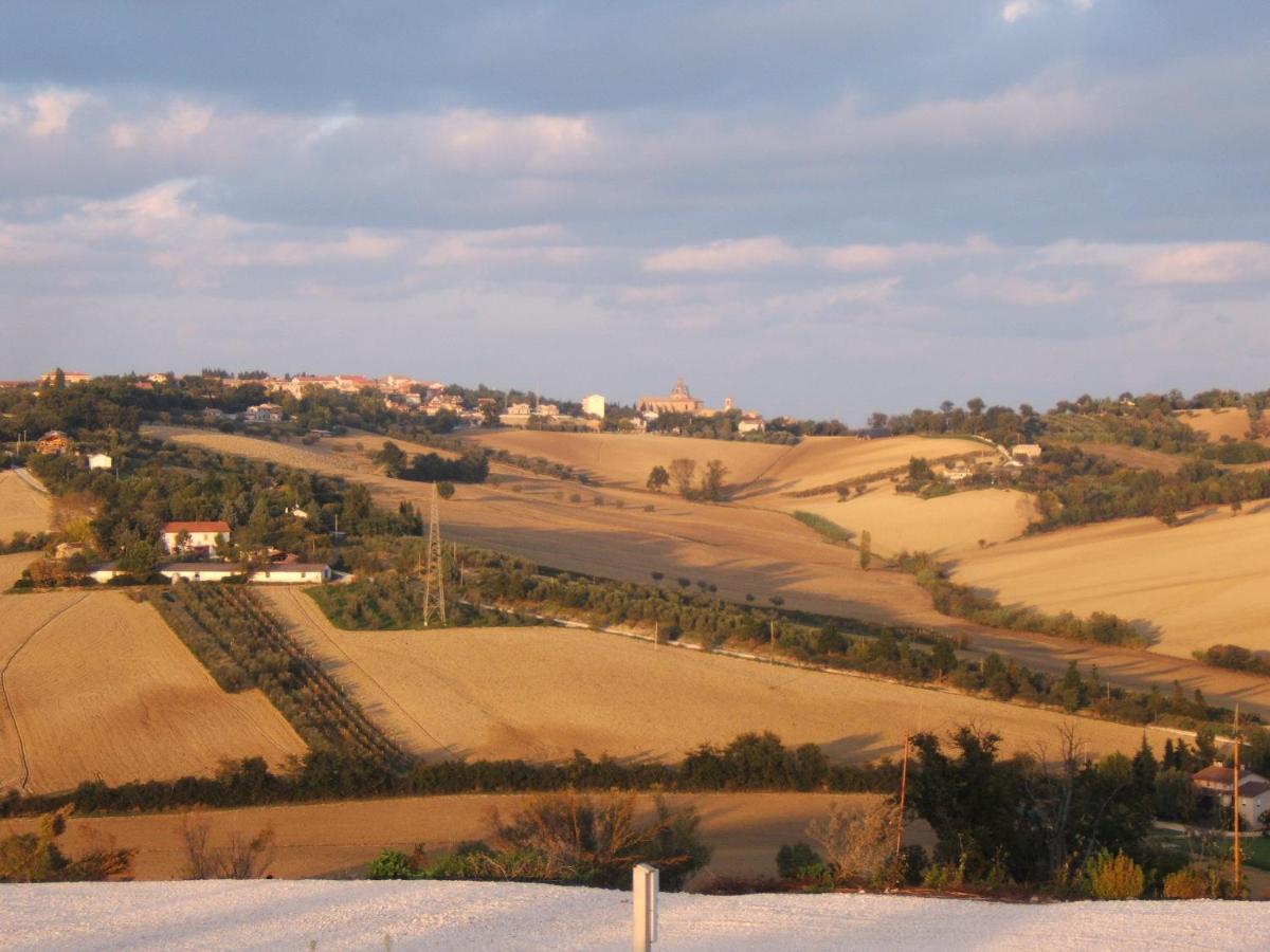 Agriturismo I Ciliegi del Checco San Marcello  Esterno foto