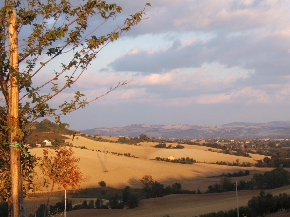 Agriturismo I Ciliegi del Checco San Marcello  Esterno foto