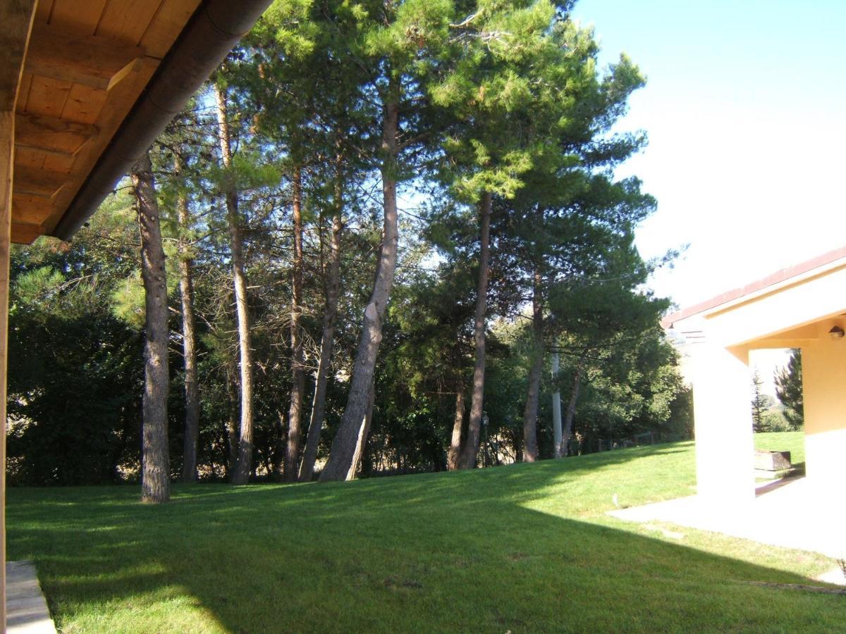 Agriturismo I Ciliegi del Checco San Marcello  Esterno foto