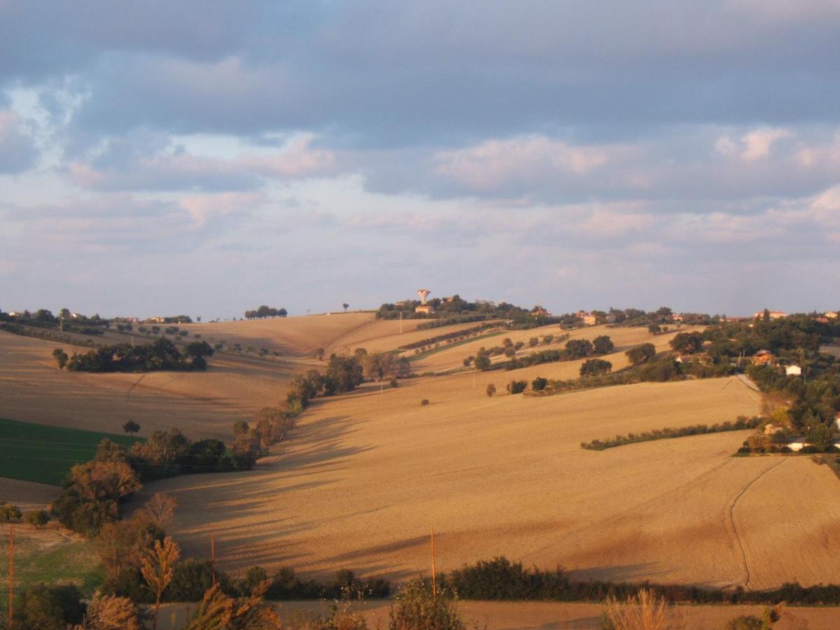 Agriturismo I Ciliegi del Checco San Marcello  Esterno foto
